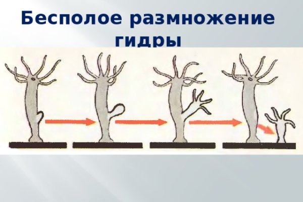 Кракен магазин kraken clear com