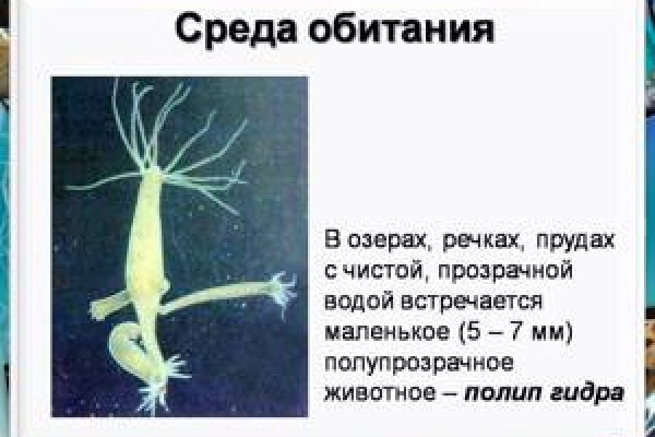 Кракен сайт это