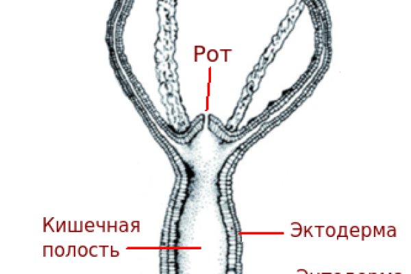 Кракен 16 at