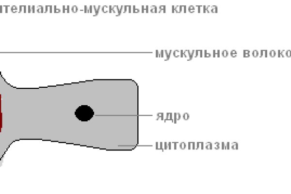Кракен не работает сегодня