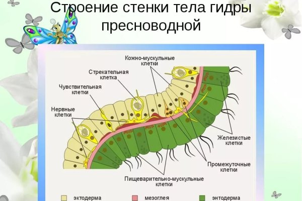 Рабочая ссылка на кракен в торе