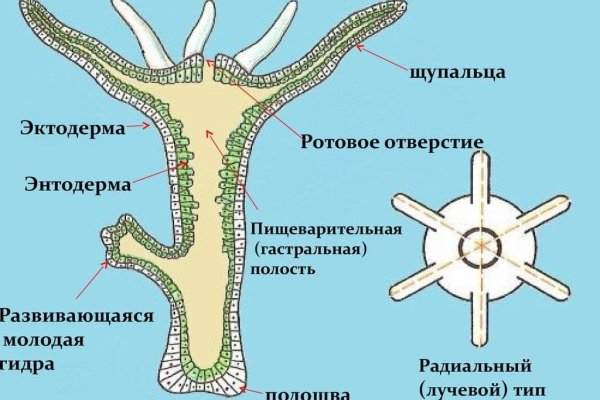 Кракен kr2web in