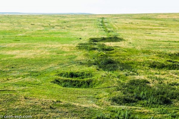 Мега зеркала тор онион мориарти кракен