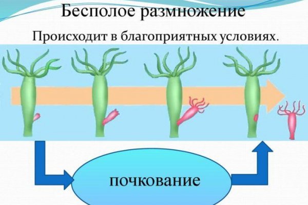 Kraken адрес onion