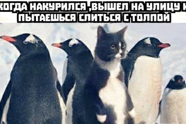 Зайти на кракен тор