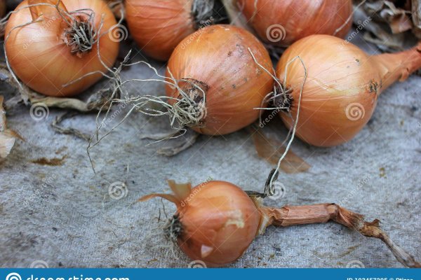 Kraken зеркала kr2web in