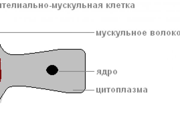 Кракен kr2web in